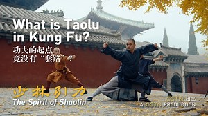 In modern Shaolin kung fu, Taolu refers to choreographed routines that simulate combat with an imaginary opponent. It's a common way for today's practitioners to learn and refine their technique. In its origins, Shaolin kung fu had no set sequences — only instinctive knowledge drawn from real combat experience. Stay tuned for CGTN's documentary "The Spirit of Shaolin" to explore the roots and evolution of this legendary martial art. | CGTN