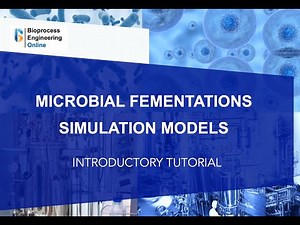 Microbial fermentations simulation models