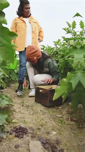 How AI is Revolutionizing Agriculture Worldwide”