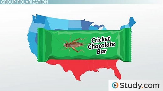 Group Polarization Definition, Causes & Example