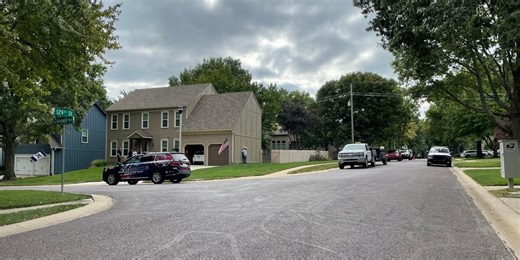 Worker electrocuted while trimming trees in backyard