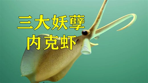 古生物学中的三大妖孽：内克虾