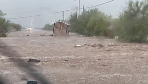 183K views · 3.9K reactions | OH SHED!  Heavy monsoon rain water in the New River area swept a shed down the currents Friday. www.abc15.com/radar Thanks to Three Bars Feed & Tack for sharing! | ABC15 Arizona | Facebook
