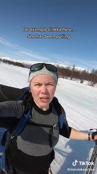 How to Train Alaskan Huskies for Sled Pulling