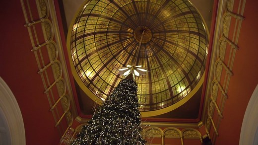 The QVB SWAROVSKI Christmas Tree is back! Standing 24 metres under our iconic dome, it is adorned with 82,000 sparkling ornaments, 65,000 twinkling lights and 6,400 rosebuds topped with a 2.2 metre crystal gilded star. Discover the wonder of Christmas at the QVB at www.qvb.com.au/christmas | Queen Victoria Building