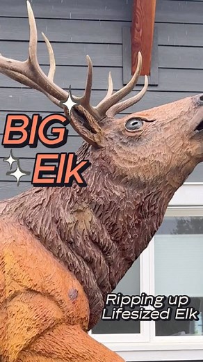 Transforming Wood into Wildlife: Life Sized Elk Carving! 🫎 | Ryan Cook Carvin