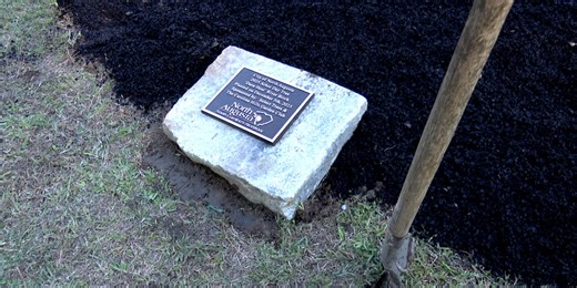 North Augusta plants tree honoring late city director at Arbor Day celebration