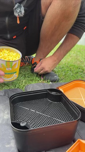 Maggot Riddle & 🌽 #tackleguru #maggotriddle #fishing #pêche #coarsefishing | Tackle Guru France