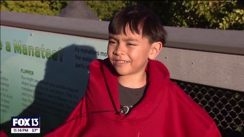 Manatee viewing center in Apollo Beach