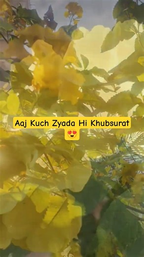 Wow 😍Spring Flowers Full Bloom at my Door Step Nature#shorts#reels #xplorewithroamingfamily #nature