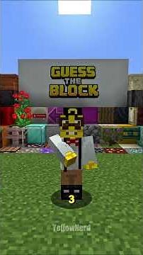Guess The Block Part 1