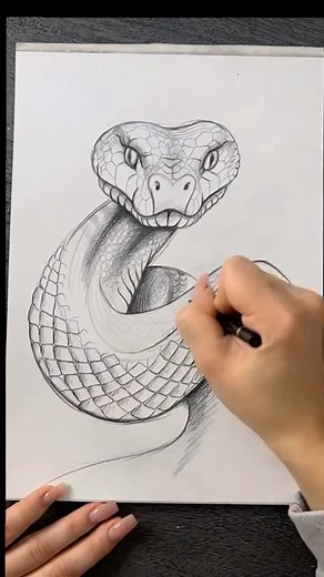 Auftragszeichnungen/ Portrait artist ✍ on Instagram: "Schlange zeichnen lernen  Was soll ich als Nächstes zeichnen ? Kommentiert ⬇️ #schlangezeichnen #zeichenkurs #zeichnenlernen #drawingtutorials #bleistiftzeichnung #zeichnenfüranfänger #zeichnen #kunst"
