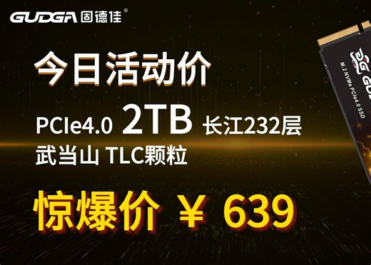 GUDGA/固德佳 今日开团特价产品GXF-2TB-2280-PRO PCIe 4.0 长江232层武当山 TLC 颗粒