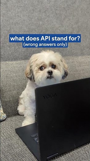 What does API stand for?