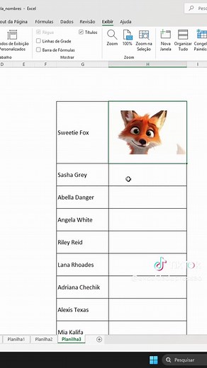 Como Colocar Imagens Corretamente no Excel