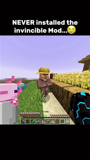 Never install The invincible Mod