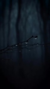 💯 #life #quotes #inspiration | Always Positive