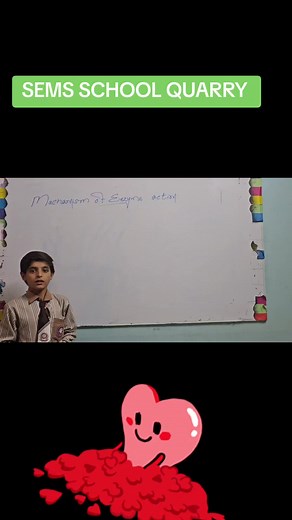 sems#quetta #grove #video #trending #beauty #viral #1000k #admission #10th