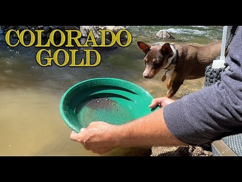 Gold Prospecting in Colorado - South Boulder Creek Gold!