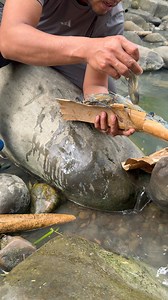 Shrimp 🦐 | Olivares Hunters