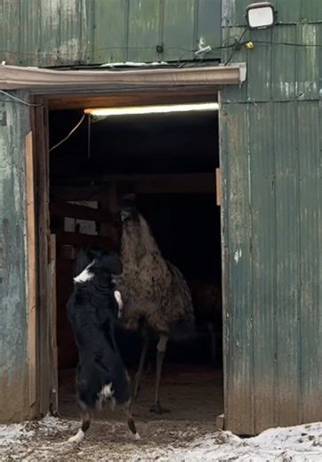 Very exclusive apparently smh