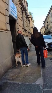 259K views · 20K reactions | Max è un Labrador di otto anni,...