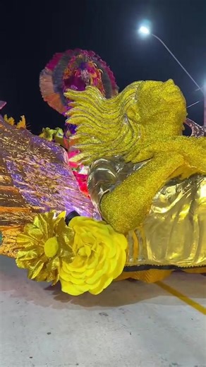 Carnaval Rio Claro on Instagram: "Desfile Escola de Samba A Casamba carnaval 2025."