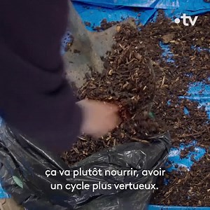 "J'ai l'impression d'être un bipolaire climatique" À Joigny, Massimo a changé de vie. Aujourd'hui, il raconte son "burn-out" écologique. "Carbonisés", 10 épisodes inédits sur france.tv ➡ bit.ly/Carbonisés | France tv nature