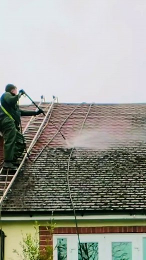 The Ultimate Guide to Roof Cleaning for a Fresh Look