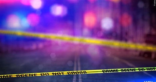 Fatal logging accident in Buffalo County Wednesday morning, Sheriff reports