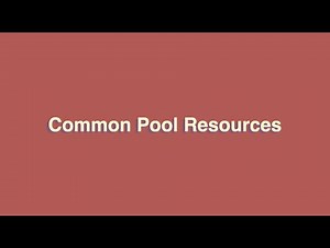 Microeconomics || Common Pool Resources