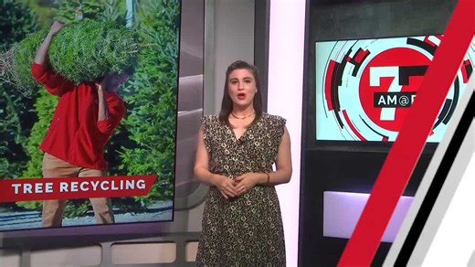 Don’t toss your Christmas tree, Las Vegas. UNLV wants to turn it into mulch