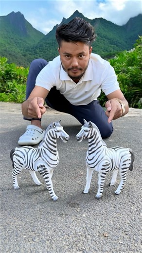 Remote Control Tow Zebra Unboxing delam