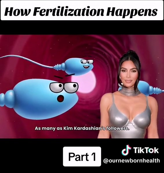 flushies_u on TikTok