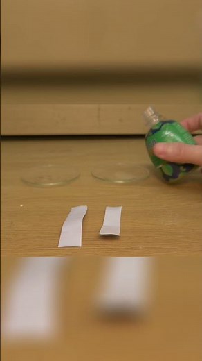 Create Your Own pH Paper from Cabbage Water!📃