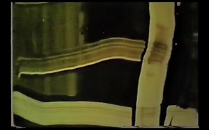 Banana by Jake Chudnow [HD]