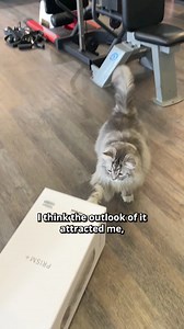 蠟 If you love pets but struggle with sinuses, Gladys has a solution for you - PRISM+ Smart Air Purifiers! A must-have for achieving clean and fresh air, as these purifiers are equipped with HEPA H13 filters that effectively eliminate dust and pet dander in the air. What's more, its smart compatibility allows Gladys to conveniently control the settings from anywhere in the gym, ensuring optimal air quality not just for herself, but for everyone else too! | PRISM+ | Facebook