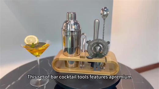 Steel Boston Cocktail Shaker Set - Stainless Steel Filtered Cocktail Shaker Gift Set for Professional Bartender Bar