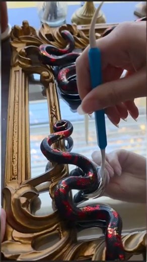 DIY snake frame #fatima craft ideas