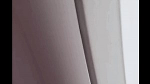 Spirit Airlines Plane Bursts Into Flames After Ingesting A Bird - Jalopnik