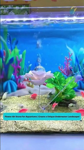 Flower Air Stone for Aquariums | Create a Unique Underwater Landscape! #tools #fishtank
