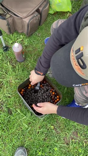 Essential Tips for Carp Fishing Bait Preparation