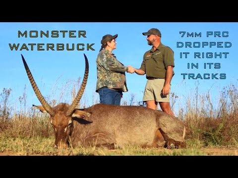 Waterbuck Hunting Mastery: Dropping a Trophy on the Spot