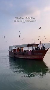 Der See von Genezareth ruft nach euch. Könnt ihr ihn hören? 🌊 "Und Jesus sprach: Kommt und folgt mir nach, so will ich euch zu Menschenfischern machen." (Markus 1,17) 📹 @sarel_tours #bilderausdemheiligenland #jesu #seegenezareth | Auf Jesu Spuren im Heiligen Land