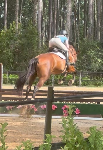 Had a great jump lesson with KB 🐥on Tuesday!! SEMF🔜 #chelseaequestrian #hunterjumper #hunterjumpers #equestrianlife #southeastmedalfinals