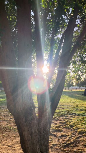 the warmth of the sun touching my skin felt like an embrace i didn't know i#fyp #sun #sunset #explore #4u