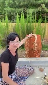 107K views · 2.3K reactions | A fun way to get creative with a few bushel baskets. | The Shabby Tree | Facebook