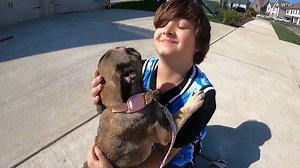 21K views · 557 reactions | Luna the dog got away from her human mom and her 9-month-old baby while walking near their Tennessee home. The family told WTVF they turned to social media to get the word out. That mobilized their Jackson Hills neighborhood, including 10-year-old Kayden. It took 11 days, but playing with some friends put Kayden in the perfect position to find Luna. | Inside Edition | Facebook