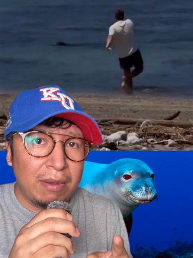 Que paso con una foca en hawaii ya que se volvio viral #mundo | roaches in hawaii