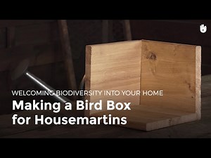 Making a Bird Box for Housemartins | Biodiversity